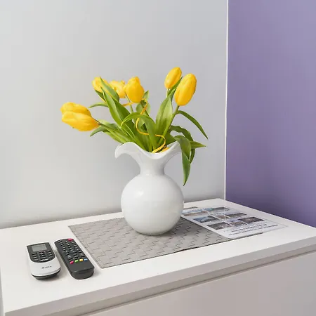 K12 Appartement Krakau